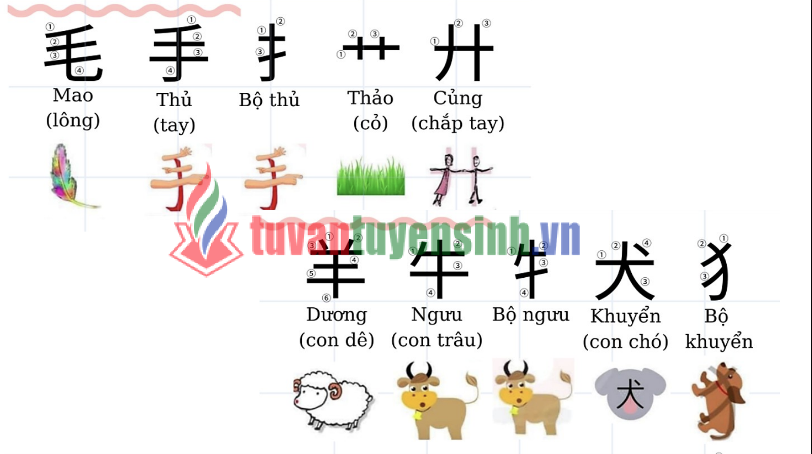 TẢI FREE Tải FREE sách 214 Bộ Thủ Tiếng Trung PDF có tiếng Việt 6