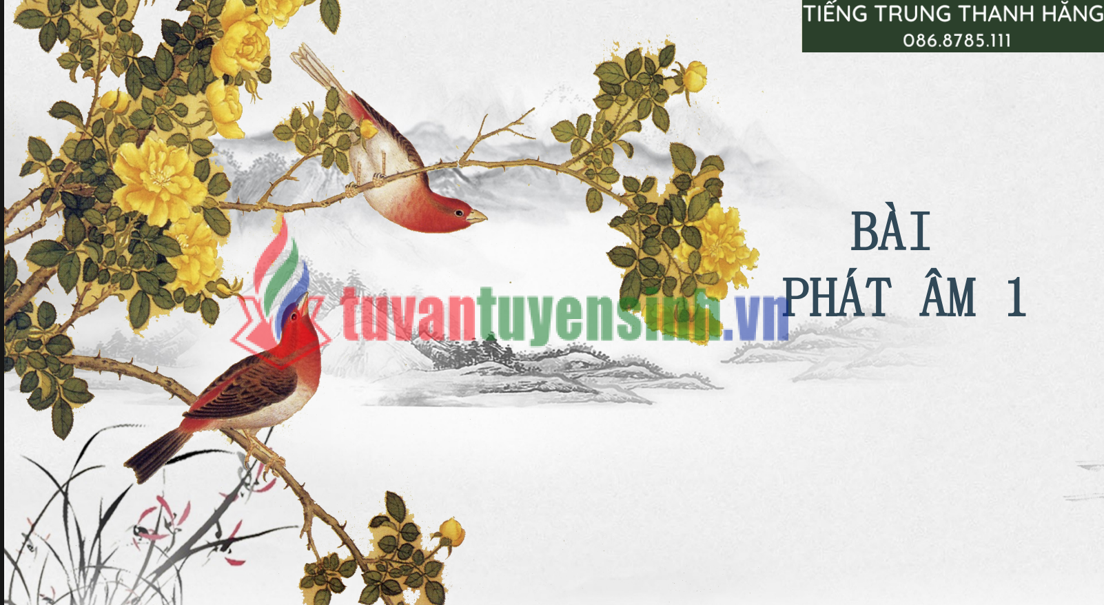 Tải FREE sách Bài 1 Phát Âm Tiếng Trung PDF có tiếng Việt