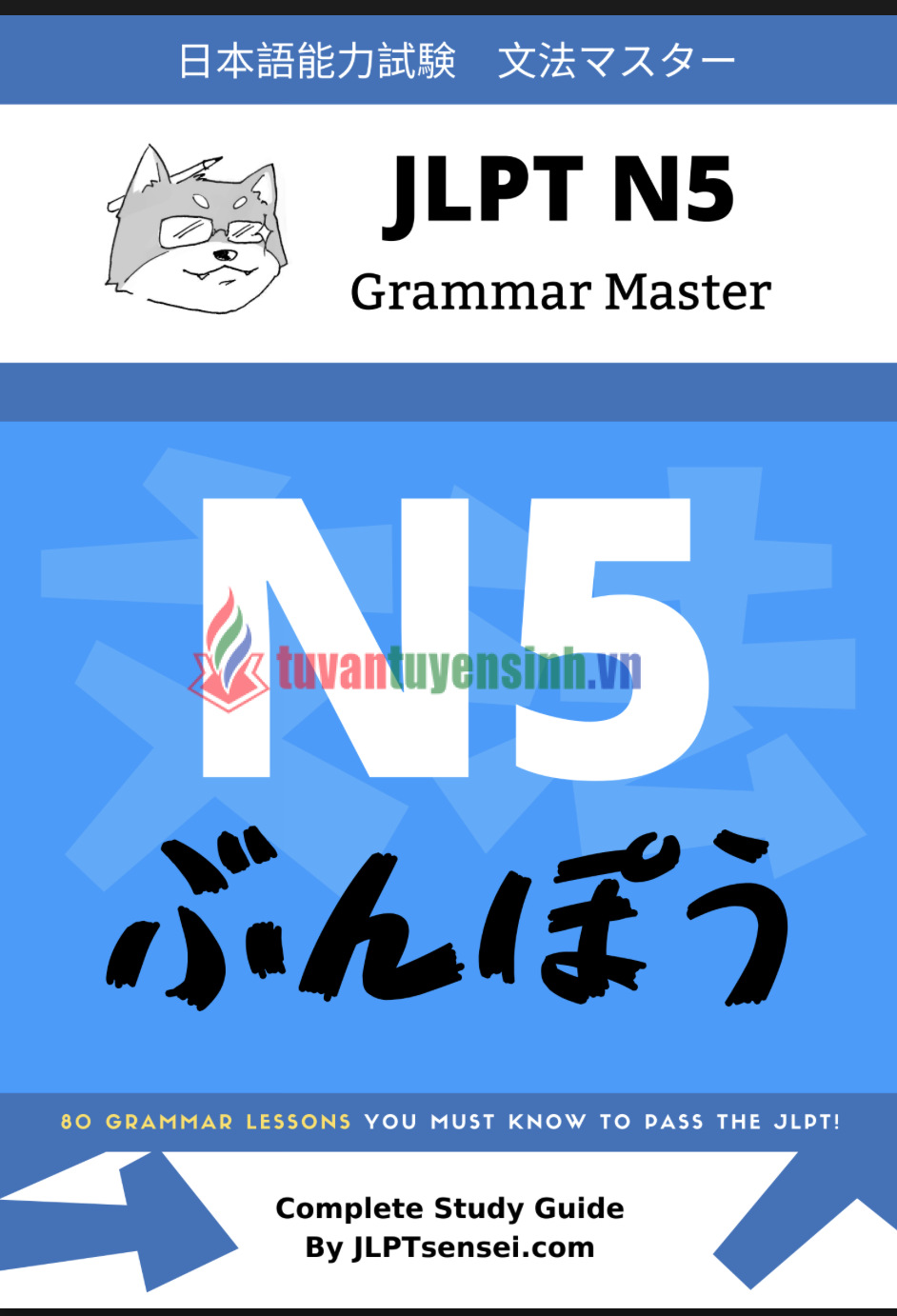 sách JLPT N5 Grammar Master e-Book
